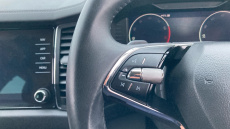 Skoda Kodiaq 1.5 TSI SE L Executive 5dr DSG [7 Seat] Petrol Estate